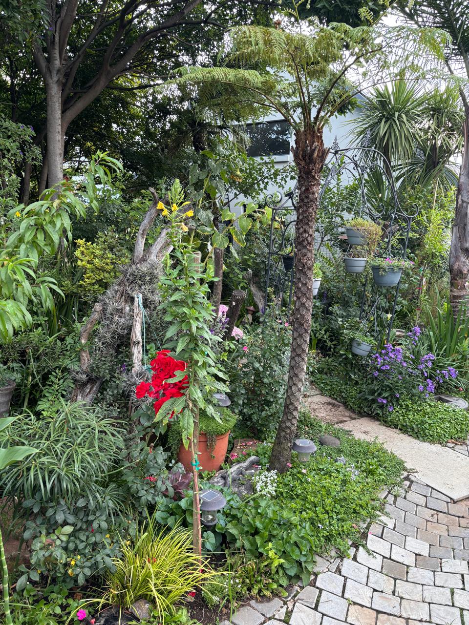Nature's Way plant nursery, Chartwell, Randburg