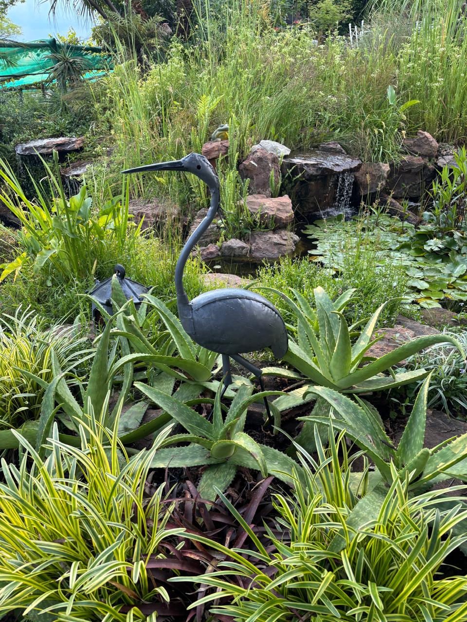 Nature's Way plant nursery, Chartwell, Randburg