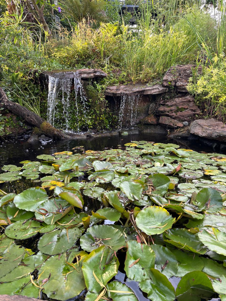 Nature's Way plant nursery, Chartwell, Randburg