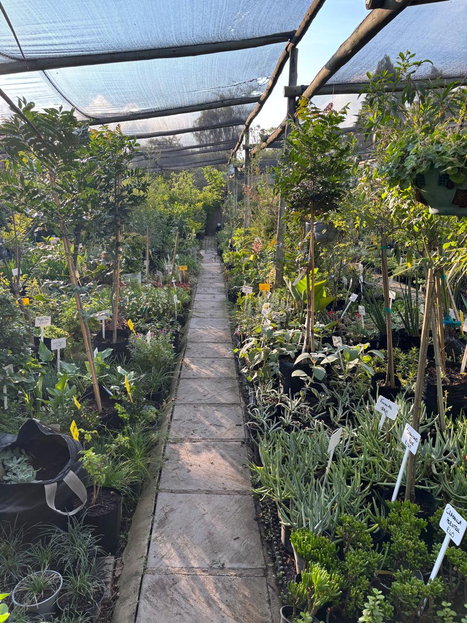 Nature's Way plant nursery, Chartwell, Randburg